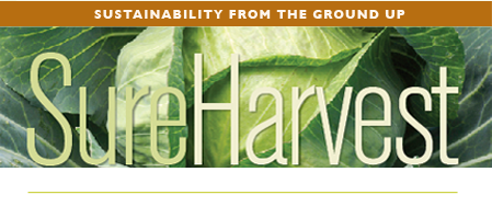 Sustainability From the Gound UP